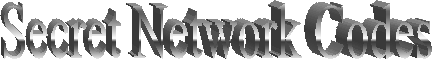 Secret Network Codes